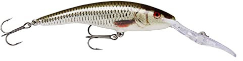 Rapala Unisex-Adult Deep Tail Dancer Angelköder-Angelzubehör aus Balsaholz-Stabile Tauchschaufel-Süßwasser Spinnköder-Lauftiefe 12m-Fischköder 13cm, 42g-Hergestellt in Estland-Live Roach, 13 cm / 42 g