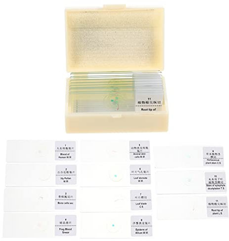 ULTECHNOVO 1satz Bioexperiment Mikroskop Objektträger Für Schüler Klare Schnitte Beobachtung Von Pflanzen Tieren Und Und Langlebig Für Schulprojekte