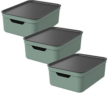 Rotho Jive 3er-Set Aufbewahrungsbox 10l mit Deckel
