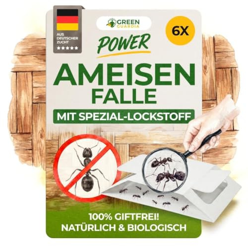 GREEN GUARDIA Ameisen Falle mit Spezial-Lockstoff - 6X Ameisen Fallen - umweltfreundlich Ameisen bekämpfen, Chemiefreie Falle mit starker Klebefläche, giftfrei & geruchsneutral