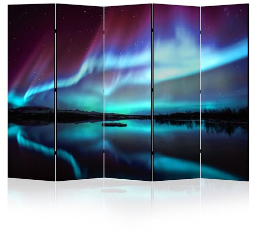 LUMASOUL Paravent Raumteiler Innen beidseitig Bedruckt 225x172 cm Landschaft