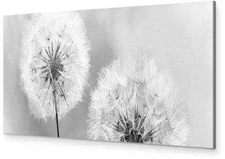 murando HandArt Bilder auf Leinwand Pusteblume 1 tlg Leinwandbild Wandbilder Wohnzimmer Wanddekoration Moderne Kunst - Blumen Natur grau Pusteblumen b-B-0223-b-b