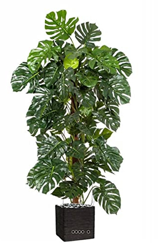 Artificielles.com - Monstera artificiel sur pied, en pot, H 160 cm - dimhaut: H 160 cm