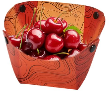 Generico Ciotola Pieghevole, Bacinella Lavabo Piegevole Per Escursionismo, Stoviglie Portatili Per Outdoor Riunioni Familiari Viaggi Escursioni Picnic Arrampicata