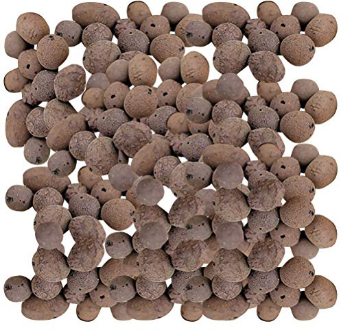 MINAOLULUS Pietra Ceramsite Traspirante per Giardinaggio 1 kg, Argilla Espansa Porosa Leggera per Drenaggio e Decorazione Vaso, Substrato per Coltivazione Piante e Copertura Superficie Vaso