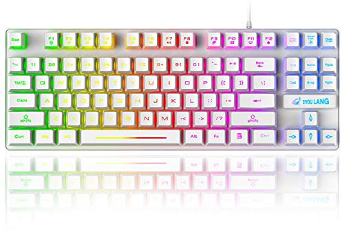 60% Gaming Keyboard, 87 Keys Mechanical Feeling Multi Color RGB Illuminated LED Backlit Wired Light Up Keyboard, Anti ghosting Mini Compact Waterproof TKL PBT Keycaps for PC/Laptop/Computer, Black
