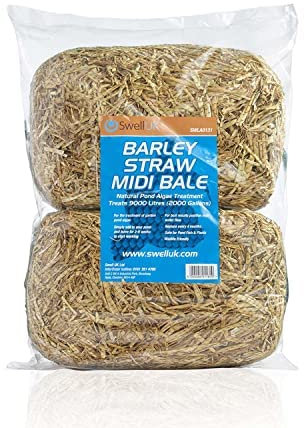 Swell Barley Straw Midi 6 pack. Barley Straw for Ponds to act as Pond Cleaner and Algae Treatment