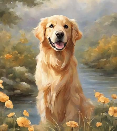 ZMHZMY Malen nach Zahlen Erwachsene,Tierhund Golden Retriever,DIY Malen nach Zahlen Leinwand Ölgemälde Kits Wohnwanddekor Mit Acrylfarben und Pinseln,40x50cm