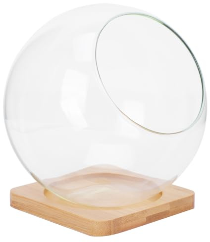 jojofuny Maceta de Cristal para Suculentas y Musgo, Jarrón de Vidrio Transparente 13,5x13,5 Cm Base de Bambú 10 Cm, Decorativo para Interiores, Maceta Ecológica Multifuncional de Almacenamiento
