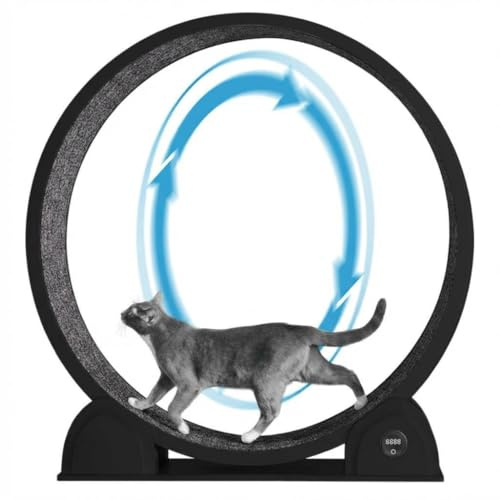 Roue d'exercice pour Chat 114 cm avec Compteur de Pas | Silencieux, tapis amovible, ABS robuste, favorise la forme physique, Noir