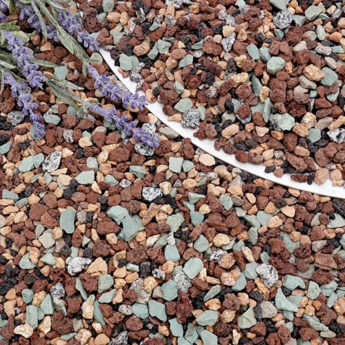 BIOMAND Rocas de lava de 10 libras para plantas, roca volcánica 3/8 para mezcla de macetas suculentas, cactus, orquídeas y bonsái, grano hortícola poroso para drenaje, aireación y equilibrio de pH