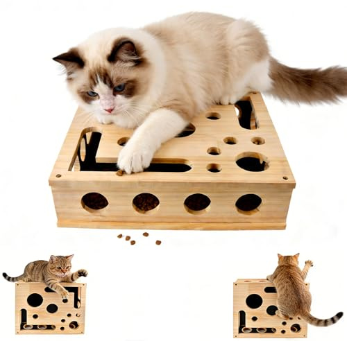 Katzen Krallenpflege Spielzeug, 30*25CM Kratzpuzzle Spielbox Holz Katzen, Interaktives Katzenspielzeug Spielzeug, Katzenspielzeug Kratzen Krallenpflege Boxs, Kratzbrett Für Scharfe Katzenkrallen