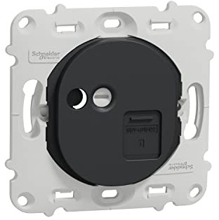 Schneider Electric - Ovalis - prise RJ45 - cat.6UTP - téléphone/informatique -sans plaque -Anthracite - S461475