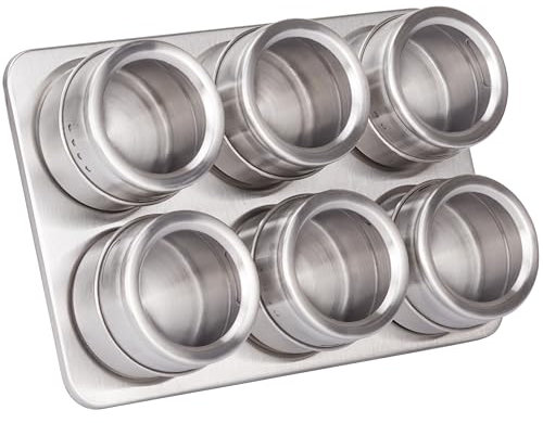 RICOO Set Barattoli Spezie Magnetici Modell GR001, 6 Pezzi in Acciaio Inox, Perfetto per Conservare ed Organizzare Spezie in Cucina, Dimensioni 22 x 15,5 x 4,7 cm
