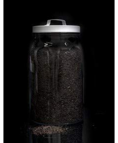 Te rooibos naranja y chocolate a granel - 100g