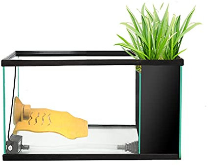 Aquarium Schildkröten Turtle-Tank Wohnzimmer Home Kleiner Haushalt ökologischer Turtle-Tank Aquarien (Size : M)