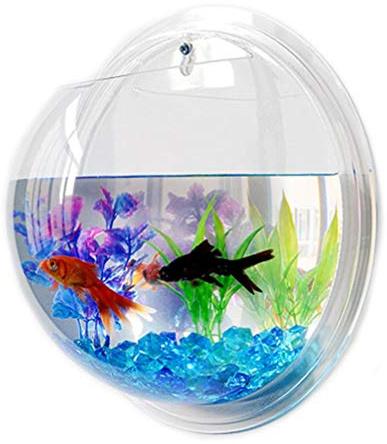 Alipis Glass Betta Tank Mini Vases for Flowers Plants Hydroponic Vase Wall Mounted Planter Decor Tank Fish Bowls Mounted Fish Aquarium Toys Acrylic Airplane