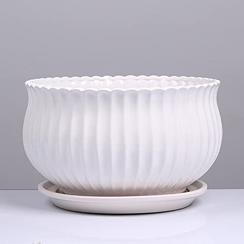 Extra Large White Minimalist Style Ceramic Garden Sprinkler Orchid Green Luo Big Flower Pot Tray Round Balcony Indoor Succulent Potted (White 14.5cm)