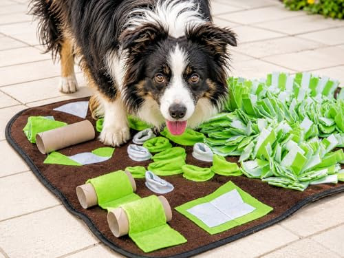 Procyon Schnüffelwiese Schnüffelmatte Intelligenzmatte Schnüffelteppich für kleine und große Hunde