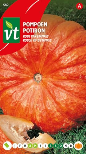 Leuchtend roter Etampes-Kürbis - Gemüsesamen