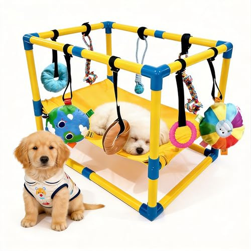 Palestra per Cani, Stanza Giochi per Cucciolo 60 x 40 x 40 cm con Amaca e Giocattoli Sospesi Sala Giocattolo per Cucciolo con Giochi per Cani per Promuovere L'esercizio e la Stimolazione Mentale