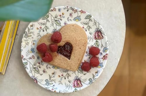 GOLDEN QUEEN'S Snack/Side Plates - Set of 4 for Snacks & Dinner; 7 inches, Microwave Safe (Pink Shrub)