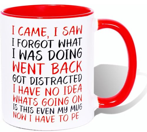I Came I Saw I Forgot Coffee Mug,Funny Birthday Christmas Gifts, Mugs for Mum and Dad, Anniversary Couple Gift,Funny Quotes Coffee (Red)