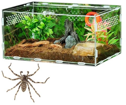 Reptilien-Terrarium mit Kletterbereich – Reptilien-Habitat mit Kletterzubehör | Terrariendesign für Reptilien mit natürlichen Elementen, Umgebung für Reptilien mit Ästen