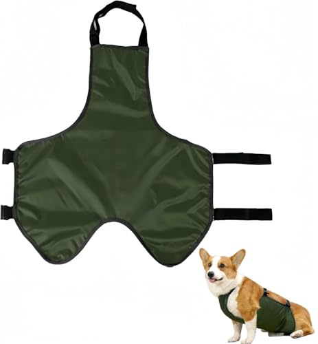 CAASFOOY Bauchschutz für Hunde, Bauchband, Lätzchen, warme Weste, Polyester, grün, Large, Sommer, Wasserfest, Kühlung und Belüftung