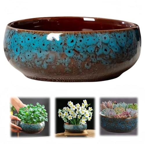 Pot de fleur de lotus, bol en céramique, grand calibre de glaçage, jonquille, nénuphar, succulente, bac en céramique simple, récipient hydroponique pour bonsaï sacré
