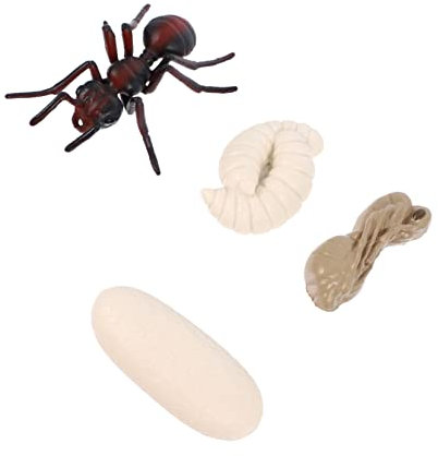 UPKOCH 2 Sätze Wachstumszyklus der Insekten Spielzeug lebenszyklus tierfiguren Kids Toys jucarii pentru copii Modelle rote Ameisenmodelldekoration Simulation rote Ameisenornamente Frosch