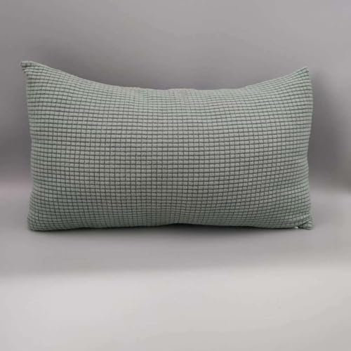 Sofa Kissenbezug 50x70 40x70 2er Set Samt Kissenbezüge 40x60, Zierkissenbezug Dekokissen Sofakissen Mit Reißverschluss 60x80 Kissenhülle Dekorative Zierkissenbezüge Kissen Bezug (Color : Light Green