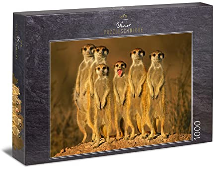 Ulmer Puzzleschmiede - Puzzle „Kleiner Frechdachs“ - Klassisches 1000 Teile Tier-Puzzle – Puzzlemotiv der lustigen Gruppe Kleiner Erdmännchen im südlichen Afrika