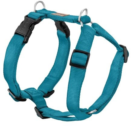 Koch Premium Geschirr Petrol M 25mm Gurtbreite, Immer Voll gepolstert, Hundegeschirr 5-Fach verstellbar, verstellbar auch am Bauch