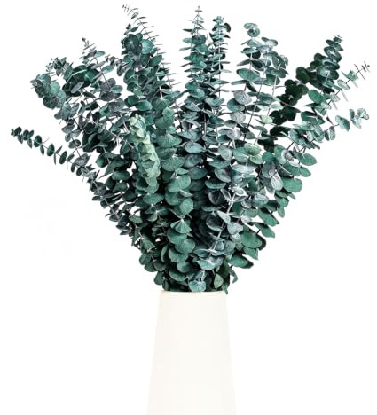 Hshenjhu 12 Piezas Eucalipto Secado 45cm Naturales Flores Secas