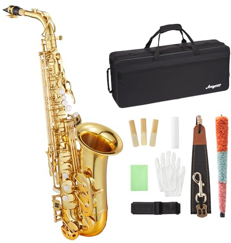 Professional Eb Alto Saxophone Beginner Kit: Complete Student Set with Hard Case, Mouthpiece, Cleaning Kit (Rod/Cloth/Gloves), Ready for Band Class & Practice