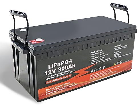 WILLQ 12V 100Ah 200Ah 300Ah Lithium-LiFePO4-Batterie Eingebauter 100A 200A BMS Hohe Leistung 4000+ Zyklen 10-jährige Lebensdauer netzunabhängige Wohnmobil-Solar-12,8-V-Backupbatterie,12v300ah