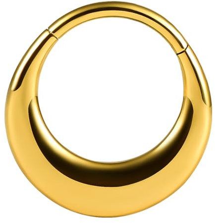Vankula Septum segmentklicker piercingring med gångjärn 316L kirurgiskt stål 16G 8 mm 10 mm, 1 st näsa helix daith tragus piercing smycken för män och kvinnor guld silver, Metall