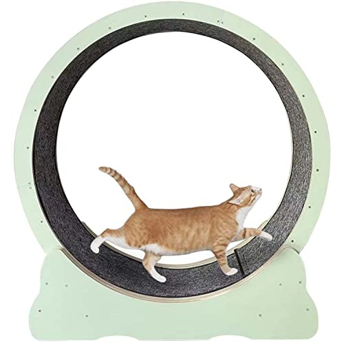 YKMYXZ, Katzenlaufband for Hauskatzen, schwarzes Katzenlaufrad-Trainingsgerät, Katzenkratzbrett/Krabbelregal, for die meisten Katzen