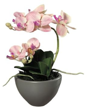 Seidenblumen Roß Orchidee 30x20cm rosa-pink in Grauer Keramikschale DP Kunstblumen künstliche Blumen Phalaenopsis