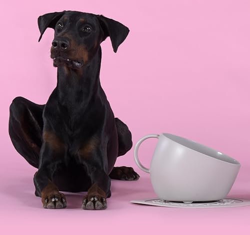 UNITED PETS Set Cup Grand Bol et Tapis sous-Bol Gris, Bol Design pour Chiens, fabriqué en Italie, pour Chiens de Taille Moyenne et Grande, antidérapant, antidérapant, 100% Plastique recyclé