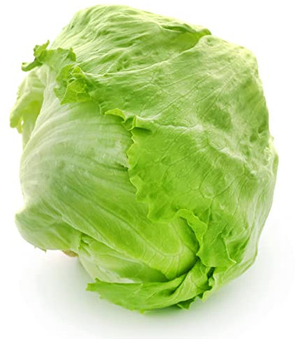 150 semi di lattuga iceberg - insalata di vage - semi di contadini riproducibili - semina