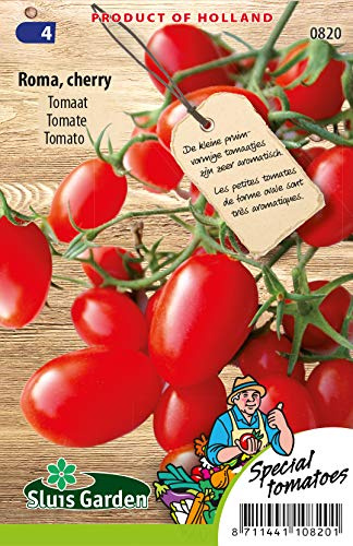 Tomato Roma, Cherry Vegetable Seeds per gram - Very Heavy Cropper which can be harvested Within 70 Days of Seeding - 0,15 g - Seeds per gram: +/-60
