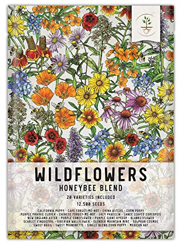 Seed Needs Pollinator Seed Mix Honey Bee Blend Wildflowers | Bulk 1 Ounce 12,500+ Heirloom Seeds 20 Pollinator Friendly Flower Varieties | Help Save the Bees Produces Colorful Blooms | Open Pollinated