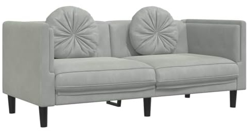 vidaXL Sofá con Cojines 2 Plazas, Silla Tapizada con Respaldo Reposabrazos, Sillón de Televisión, Asiento para Salón, Terciopelo Gris Claro
