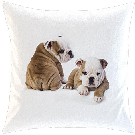 Kissen/weiches Kuschelkissen mit Füllung 40x40cm - Motiv: Englische Bulldogge | 015