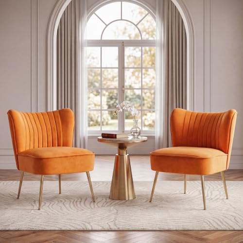 chairus Sessel Wohnzimmer Samt 2er Set, Gepolsterter Loungesessel Orange | Modern Relaxsessel Akzentstuhl mit Metallbeinen Einzelsofa, Lesesessel Bequemer für Schlafzimmer Wohnzimmer Balkon Leseecke
