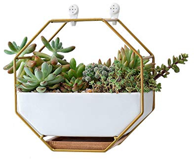 VanEnjoy Vase Mural en céramique Blanche de 17,8 cm et cuivre, Trou de Drainage avec Plateau en Bambou – Pot de Plantes succulentes – Mini Cactus artificielles à Suspendre – Décoration Murale