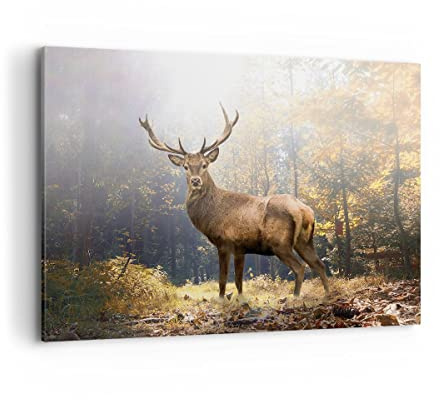 Bilder auf Leinwand 100x70cm Leinwandbild mit Rahmen Licht Hirsch Wald Groß Wanddeko Bild Schlafzimmer Küche Deko Wandbilder Dekoration Wohnzimmer Wall Decor Canvas Wand Kunstdruck Art AA100x70-4452