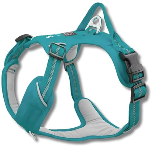 Lalazoo Adventure Hundegeschirr Typ Guard – No-Pull verstellbar gepolstert & reflektierend mit Griff Zwei Leinenbefestigungen & Tasche wasserabweisend für kleine mittelgroße & große Hunde – Türkis, M